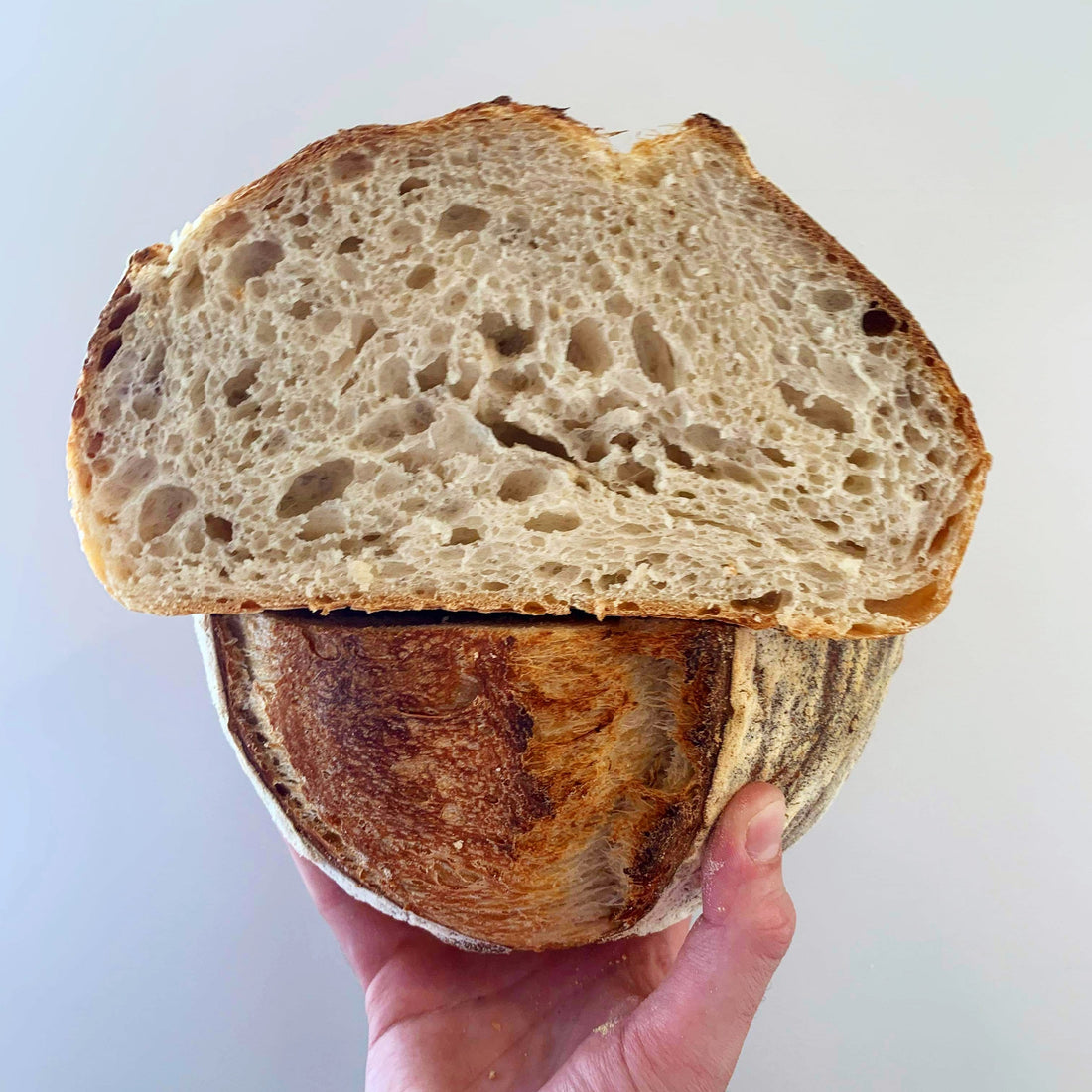 https://www.youkneadsourdough.com.au/cdn/shop/articles/IMG_20210511_215146_867.jpg?v=1621851107&width=1100