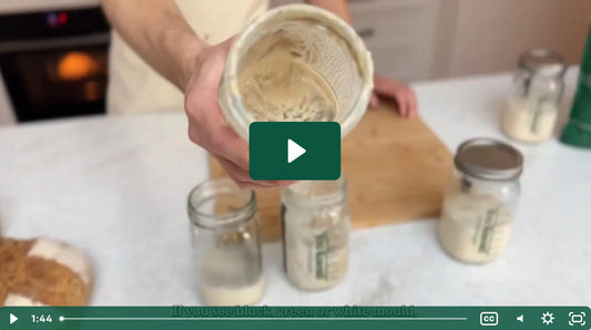 Why Does My Sourdough Starter Have Mould & How to Prevent It?