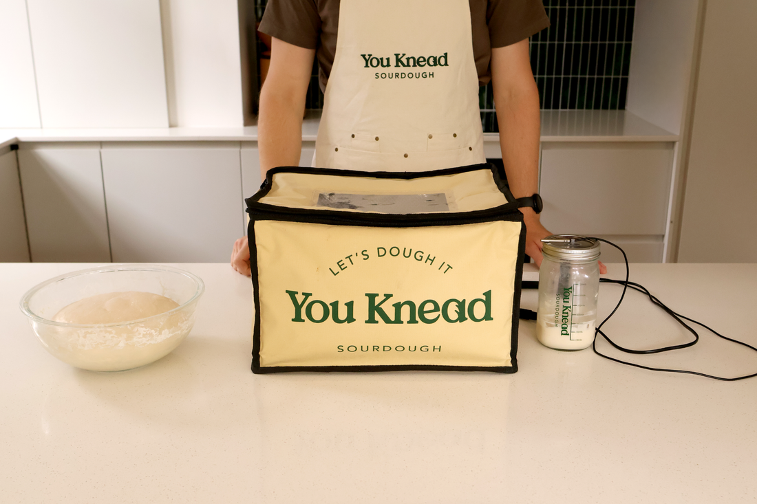 How to Use the You Knead Sourdough Electric Fermenting Heat Box