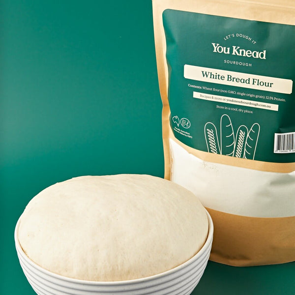 High protein flour You Knead Sourdough